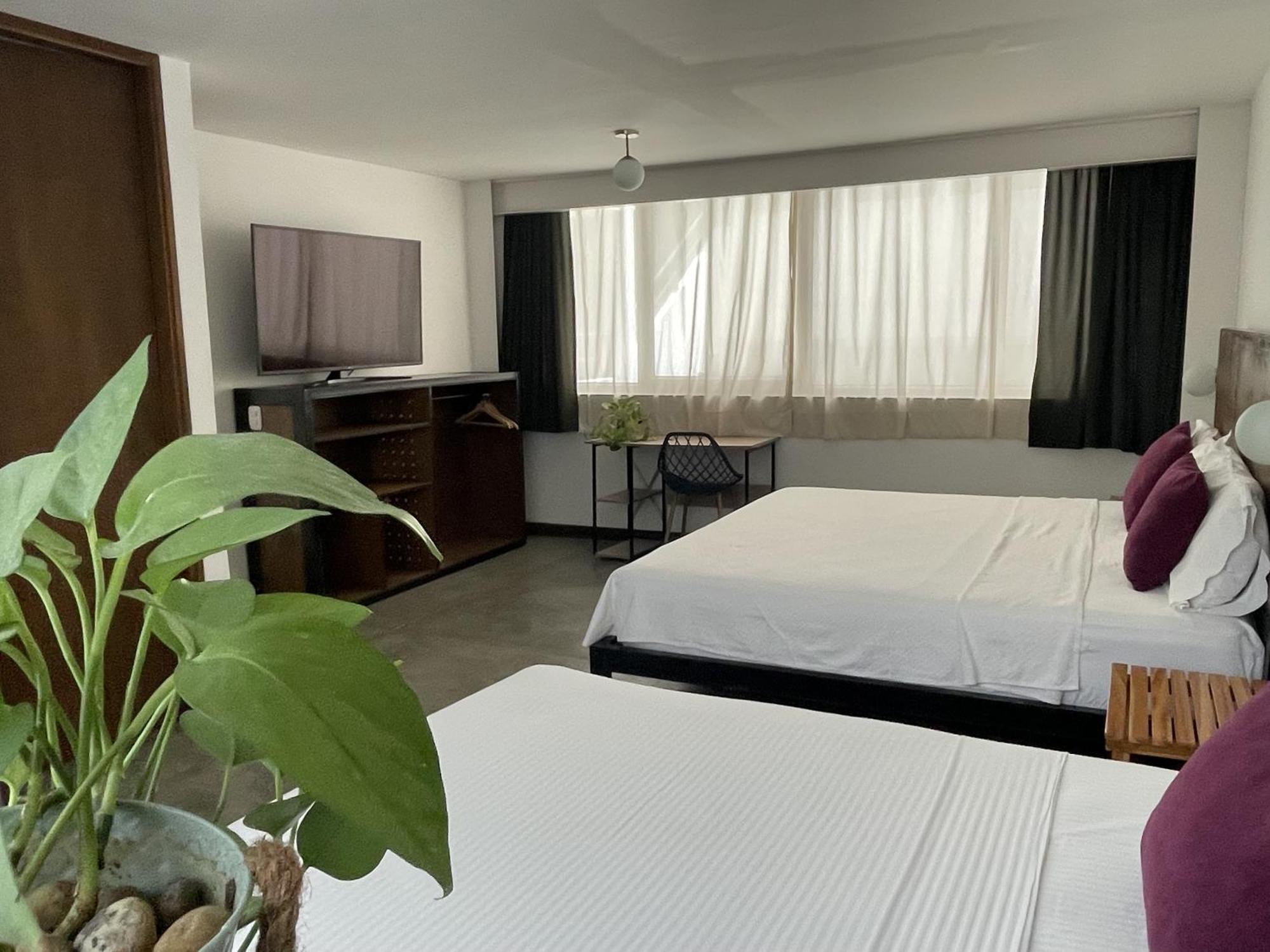 Hotel Muchosur